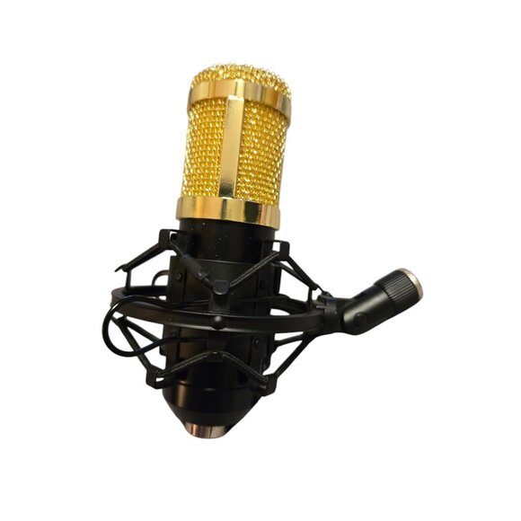 Professional Condenser NW-800 Gold Microphone Shock Mount Pop‎ Filter - Picture 1 of 7
